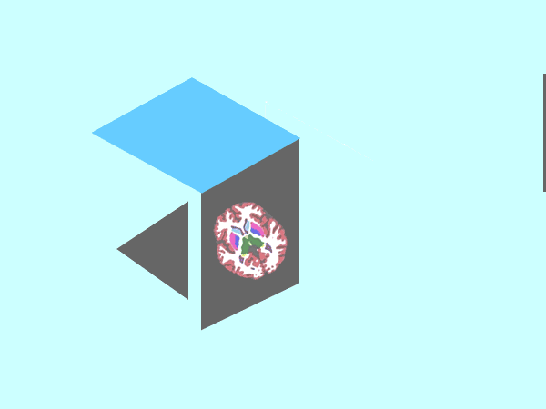 Neurology Specialist Consultation